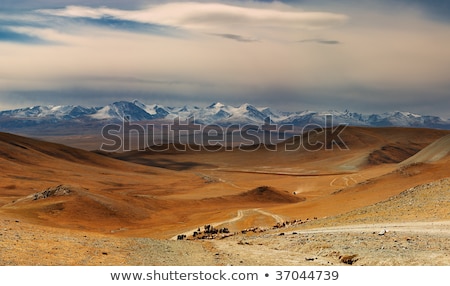 Stok fotoğraf: Altai Mountains Beautiful Highland Landscape Mongolia