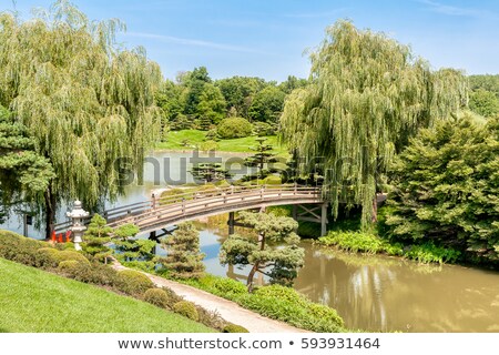 Stock foto: Chicago In Spring