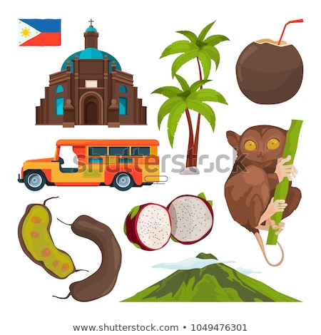 Stockfoto: Filipino Tarsier