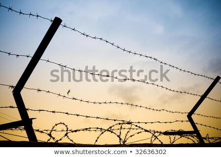 Zdjęcia stock: Barbed Wire Against Blue Sky