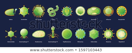 Сток-фото: Ebola