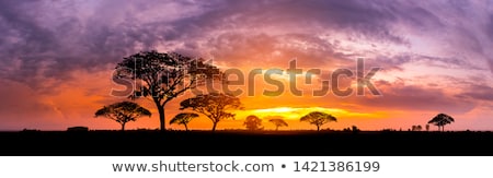 Foto d'archivio: Masai Silhouette In African Landscape