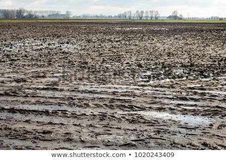 Сток-фото: Scene With Muddy Puddle