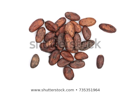 Foto d'archivio: Raw Cacao Beans