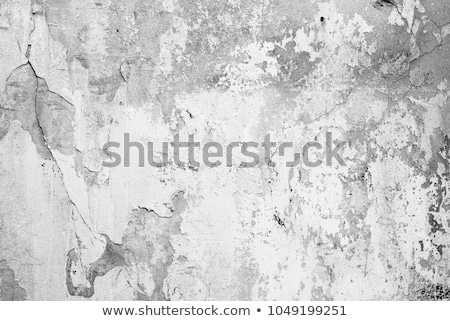 ストックフォト: Stucco Of Old Wall