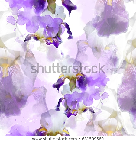 Сток-фото: Abstract Floral Background Iris