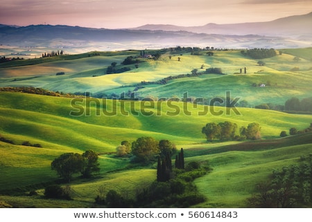 Foto d'archivio: Idyllic Landscape With Cypress