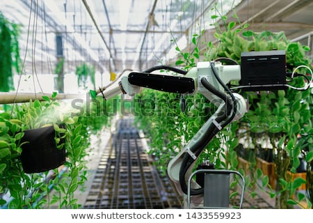 Stock foto: Green Robot