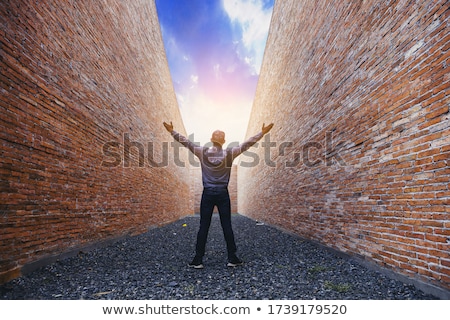 Foto stock: Ncontrando · o · caminho · através · do · labirinto