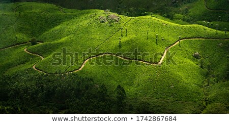 Stockfoto: Dna In Nature