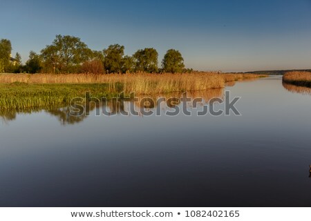 Foto stock: Inneola · 01