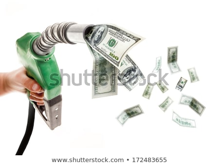 Foto d'archivio: Green Fuel Nozzle With Dollars