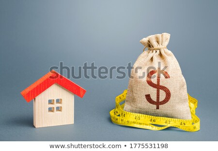 Zdjęcia stock: Residential Houses And A Dollar Money Bag Property Real Estate Valuation Buying And Selling Fair