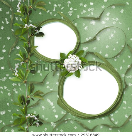 Stock fotó: Two Framework On The Green Abstract Background With Sakura