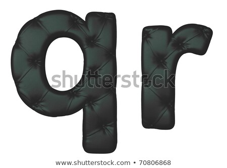 Luxury Black Leather Font R Letter Stock foto © Arsgera