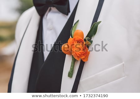 Stockfoto: Groom And Corsage