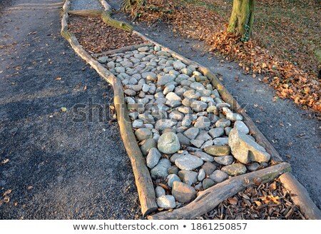 Foto stock: Uneven Wooden Path In Forest