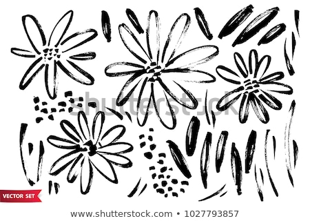 [[stock_photo]]: Hand Drawing Flowers And Herbs