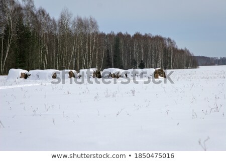 ストックフォト: Haystack Under Snow At Sunset