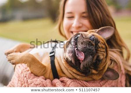 商業照片: Owner Petting Dog