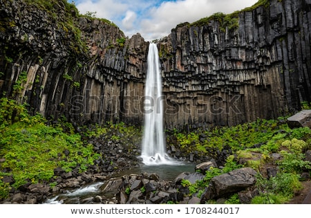 Stock fotó: The Svartifoss In Southern Iceland