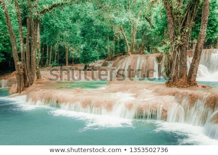 Stok fotoğraf: Fantasy Jangle Landscape With Turquoise Waterfall At Deep Tropical Rain Forest