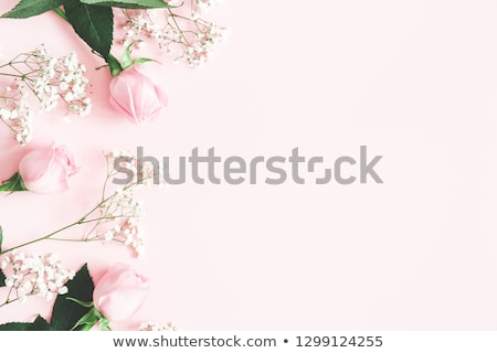 Foto stock: Composition Of Pink Roses Presented On A Pink Background With Copy Space Holiday Card