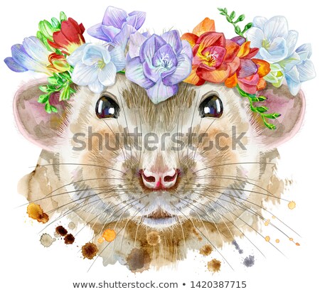 Imagine de stoc: Watercolor Portrait Of White Rat With Freesia And Eucalyptus Wreath