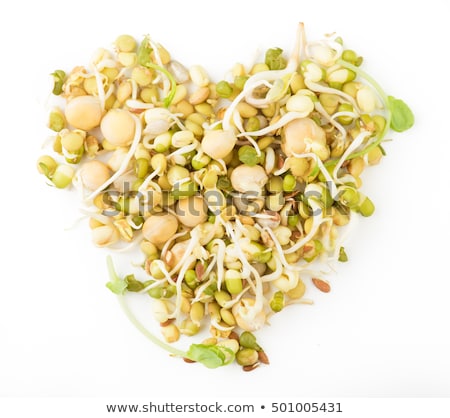 Stock photo: Sprouted Grain From Bean