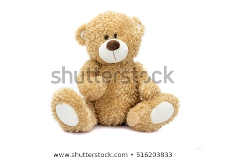 Stok fotoğraf: Teddy Bear Isolated On White Background