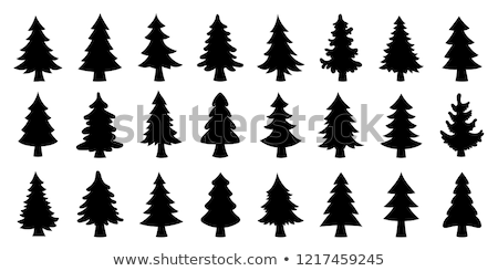 Stock photo: Pine Trees Collection