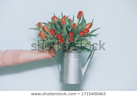 ストックフォト: Hand Holding Bouquet Of Colorful Dutch Tulips