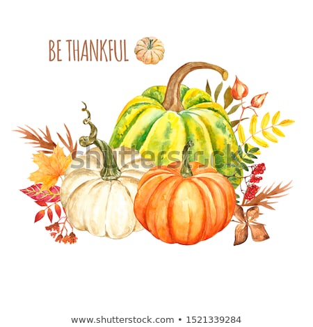 Сток-фото: Harvest Card