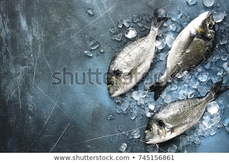 Foto stock: Fresh Dorada Fish On Ice