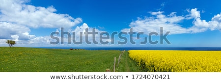 Foto stock: Baltic Sea Landscape