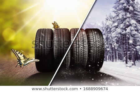Stok fotoğraf: Changing Winter Tires