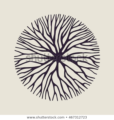 ストックフォト: 象的な木のベクトル図