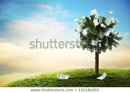 Stock photo: A Money Tree