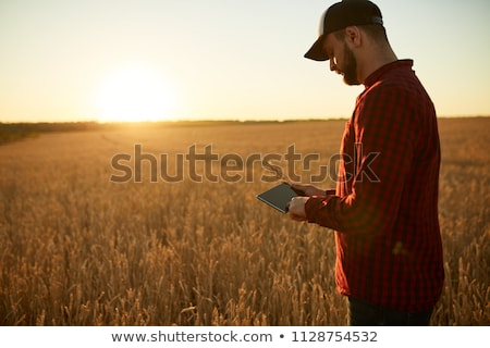 Stok fotoğraf: Smart Farming Using Modern Technology In Agricultural Activity