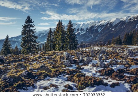 Сток-фото: Zanoaga Meadow Piatra Craiului National Park Romania