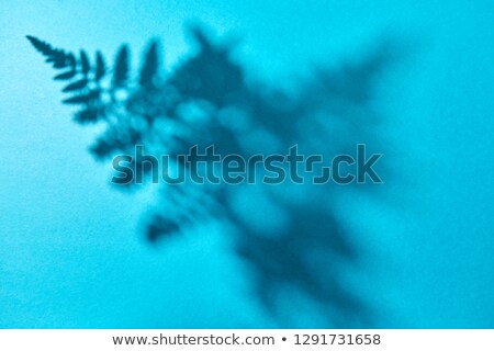 Pattern Of Shadows From Fern Leaves On A Blue Background With Space For Text Layout For Your Ideas Сток-фото © artjazz