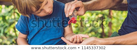 Stockfoto: Father And Son Using Wash Hand Sanitizer Gel In The Park Before A Snack Banner Long Format