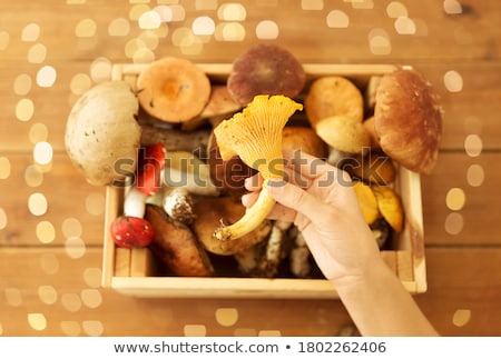 ストックフォト: Wooden Box Of Different Edible Mushrooms