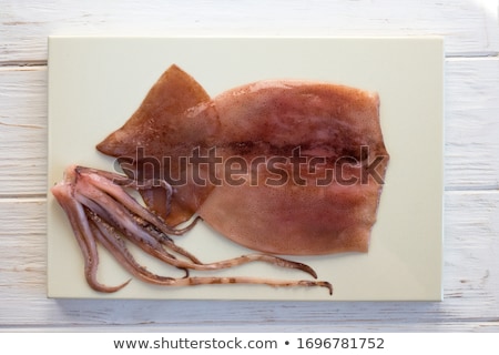 Сток-фото: Nice Fresh Squid