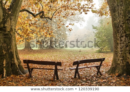 Stock photo: Old Two Benches In An Urban Park