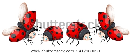 Foto stock: Ladybugs In Four Poses