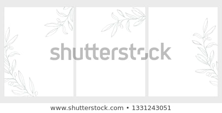 ストックフォト: Olive Branch Vector Background