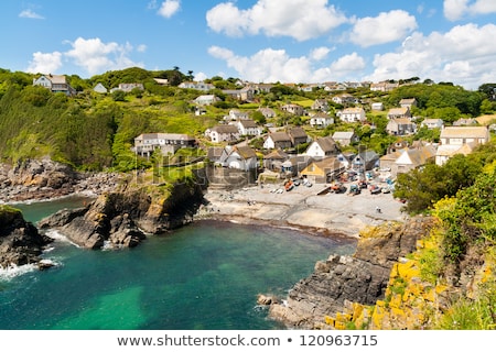 Foto d'archivio: Cadgwith Cove Cornwall