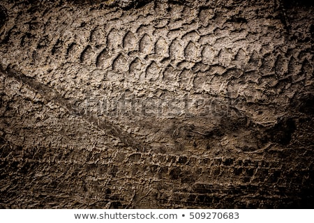 Foto stock: Tire Tracks In The Mud