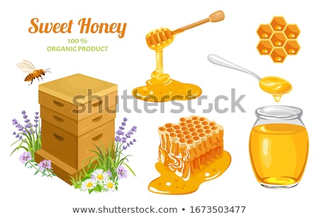 Stok fotoğraf: Cartoon Natural Orange Honey In Jar Dropping And Bees